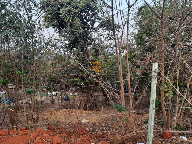 #273 - Lote para Venda em Lagoa Santa - MG - 3