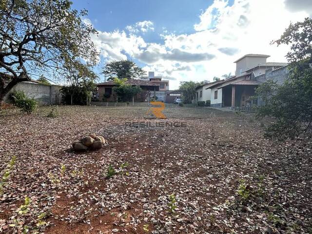 Lote para Venda em Lagoa Santa - 4