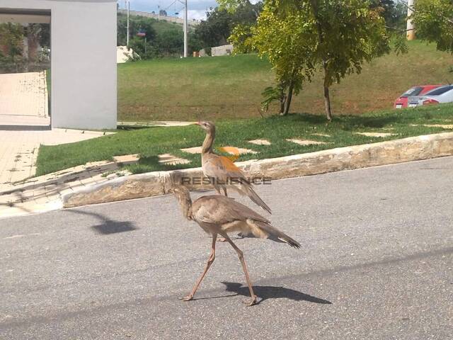 #1552 - Lotes em condomínio para Venda em Lagoa Santa - MG - 3