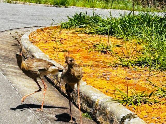 #1552 - Lotes em condomínio para Venda em Lagoa Santa - MG - 2