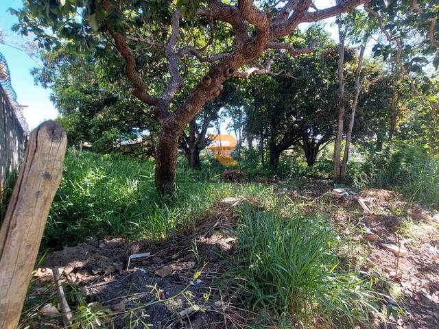 Lote para Venda em Lagoa Santa - 5