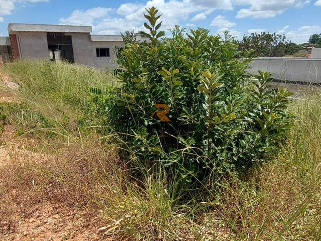 Lote para Venda em Lagoa Santa - 4