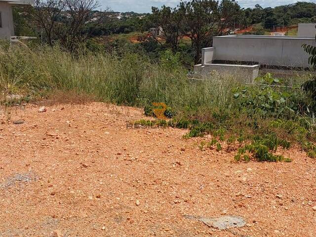 Lote para Venda em Lagoa Santa - 5