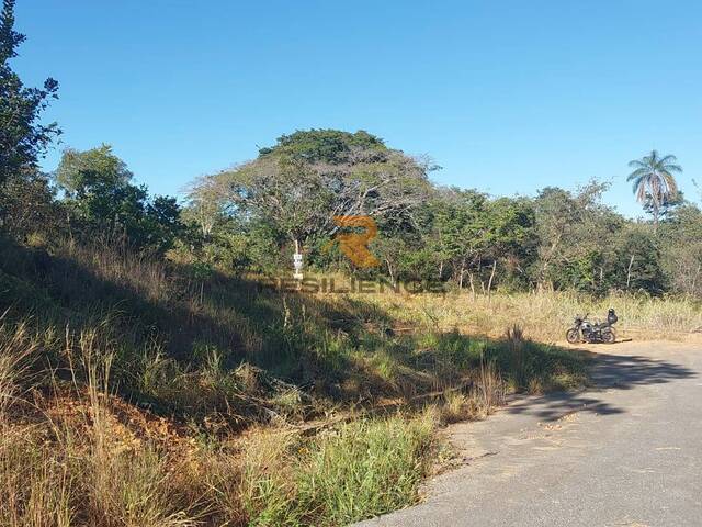  para  em  - 5