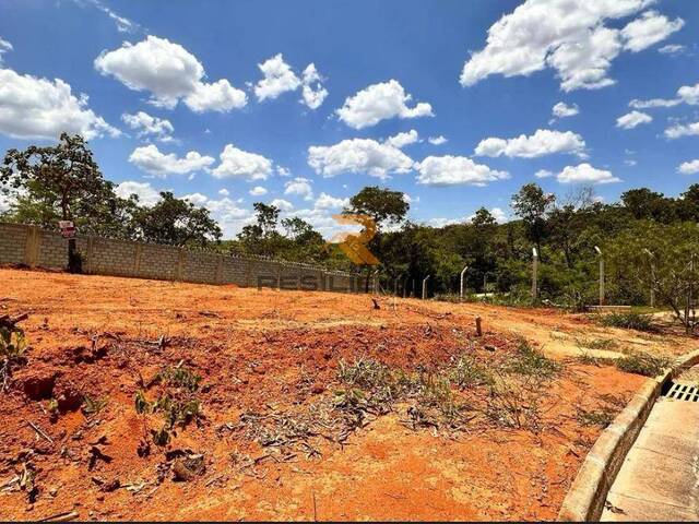 Venda em Mariposas - Lagoa Santa