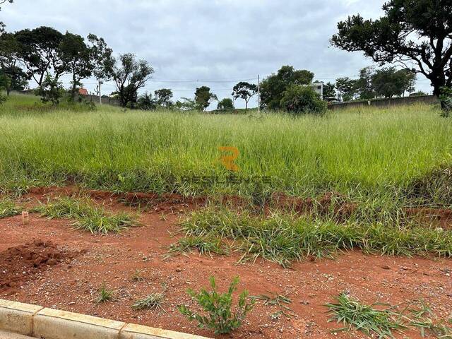 #1715 - Lote para Venda em Lagoa Santa - MG - 1