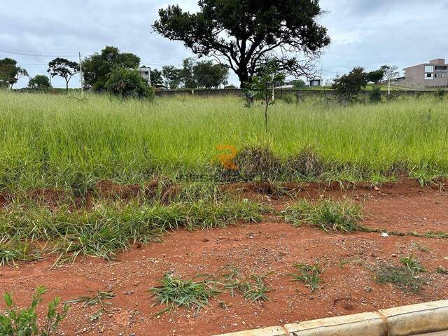 #1715 - Lote para Venda em Lagoa Santa - MG - 2