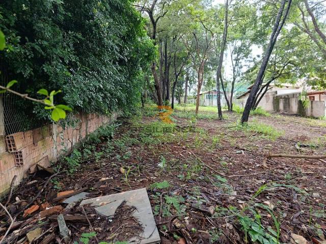 #1810 - Área para Venda em Lagoa Santa - MG - 3