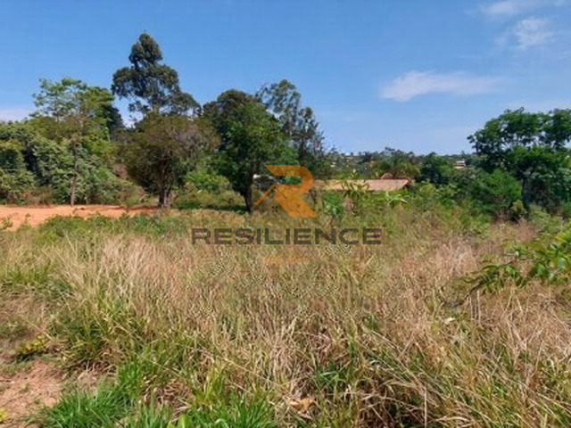  para  em  - 3